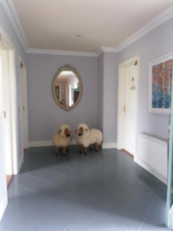 Fiuise Bed & Breakfast